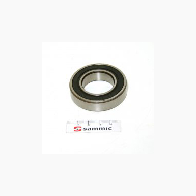 Bearing 6006 2NLS 2500795