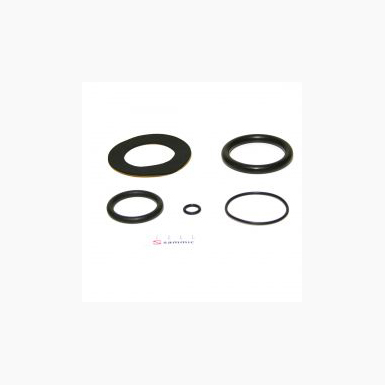 Coupling Seals/Gaskets 2313130