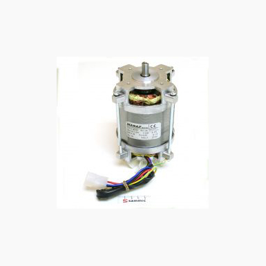 Motor BM-5/E 2502212