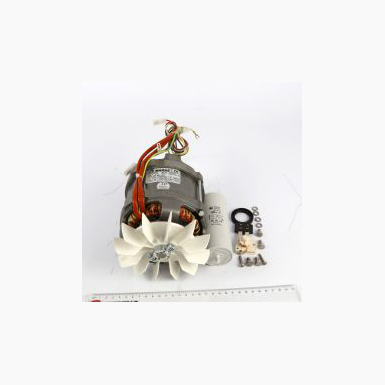 Motor Set CA301 230/50/1~ SFO 2059300 NR
