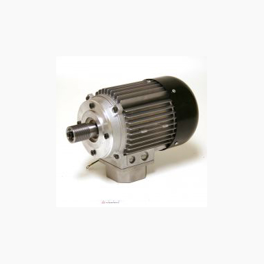 Motor Set 111 50hz 2009126
