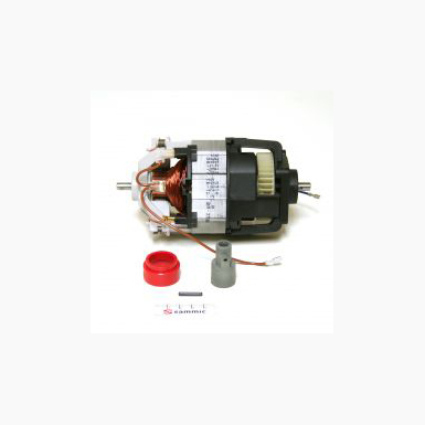 Motor Set TRBM 350w 4039021 (Now 4039027)