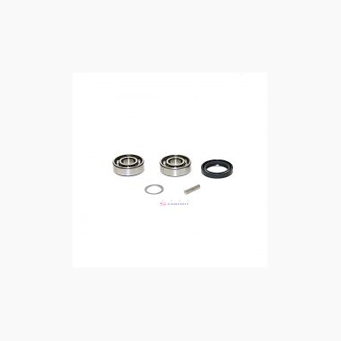 Oil Retainer   Bearing Set 2059026