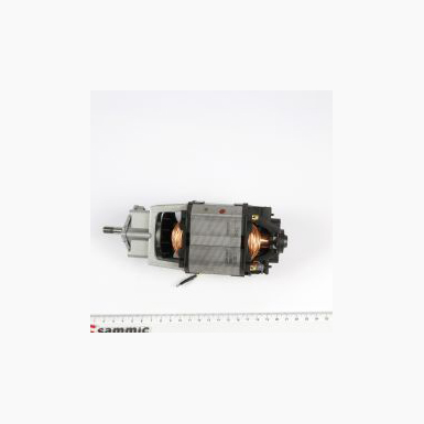 Motor Reducer Set 230v BM-5/E 2509376